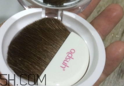 巧迪尚惠腮紅多少錢？巧迪尚惠腮紅專柜價格