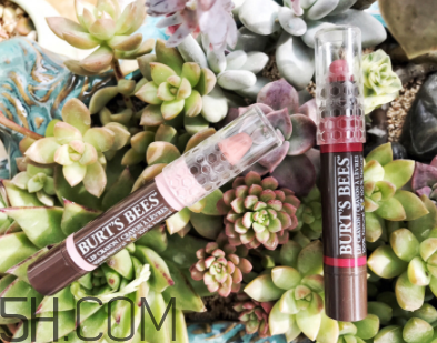 小蜜蜂唇膏筆多少錢？小蜜蜂唇膏筆很貴嗎？