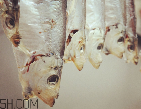 腌咸魚鹽和魚的比例是多少？咸魚一般腌多久才能曬