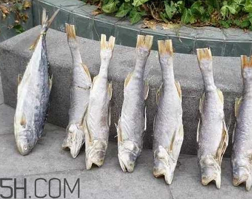 咸魚長毛還能吃嗎？怎樣辨別咸魚是否變質(zhì)