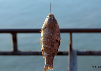 咸魚什么人不能吃？怎樣去除咸魚的咸