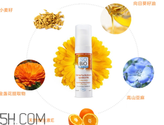 詩蓓歐屬于什么檔次 詩蓓歐是小牌子嗎 詩蓓歐屬于什么檔次 詩蓓歐是小牌子嗎