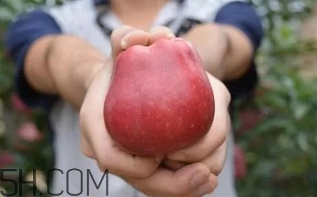 如何鑒別花牛蘋果？為什么叫花牛蘋果