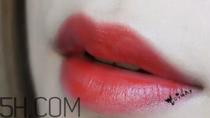 mac lady bug好看嗎？lady bug試色