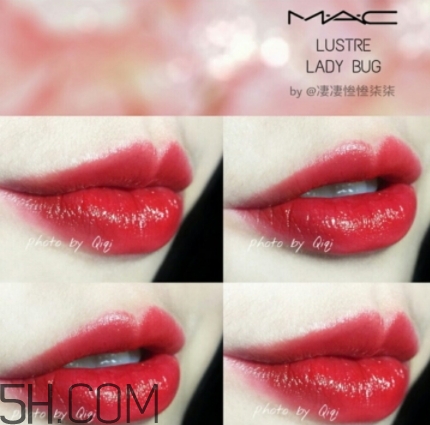 mac lady bug好看嗎？lady bug試色