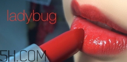 mac lady bug掉色嗎？mac ladybug真假辨別