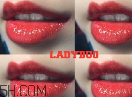 mac lady bug掉色嗎？mac ladybug真假辨別