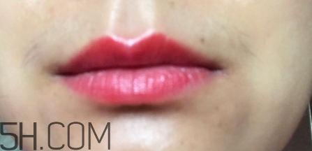 mac ladybug多少錢？mac lady bug專柜價(jià)格