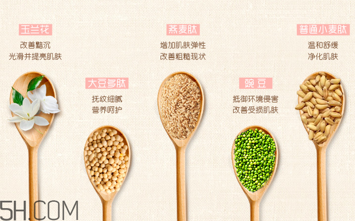 一葉子提亮去角質(zhì)素 一葉子提亮去角質(zhì)素