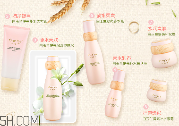 一葉子提亮去角質(zhì)素 一葉子提亮去角質(zhì)素