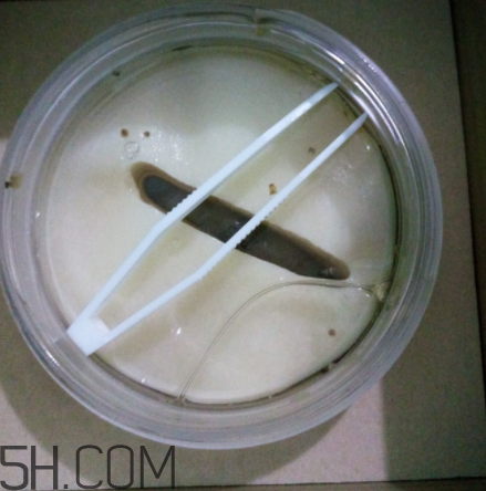 膜法世家金桂花眼膜怎么樣？膜法世家金桂花眼膜好用嗎？