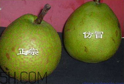 萊陽梨幾月份才會有？正宗萊陽梨哪里能買的到