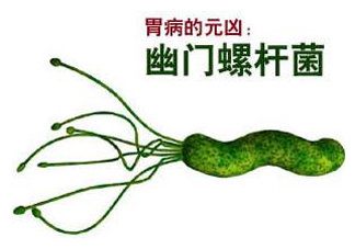 胃幽門(mén)螺旋菌陽(yáng)性怎么辦？幽門(mén)螺桿菌能徹底治愈嗎