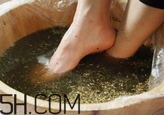 用什么泡腳比較好？艾葉泡腳還是紅花泡腳？