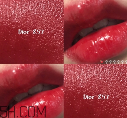 迪奧857和877哪個(gè)好看？迪奧857和877試色對(duì)比