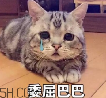 女生說我的胸好小什么意思？女生說我的胸好小怎么回復(fù)