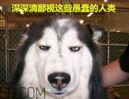 女生說我醉了什么意思？女生說喝多了怎么回復