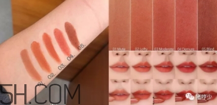 楓糖色口紅哪個牌子好？楓糖色口紅推薦