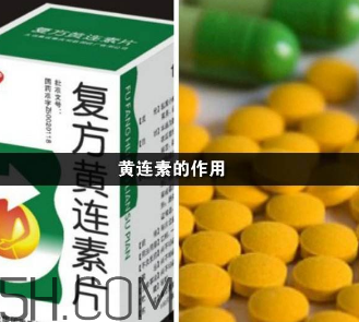 黃連素能降血糖嗎？黃連素能經常吃嗎？
