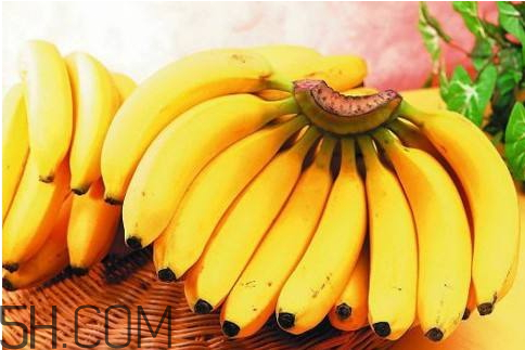 一根香蕉多少克 一根香蕉大約多少克 一根香蕉多少克 一根香蕉大約多少克