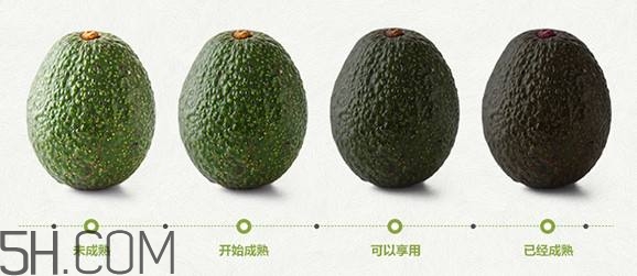 生牛油果可以放冰箱嗎？生牛油果怎么保存？