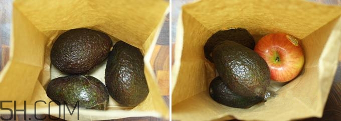 生牛油果可以放冰箱嗎？生牛油果怎么保存？