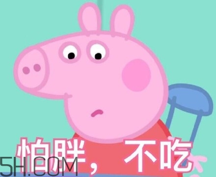 豬精女孩健康養(yǎng)生指南有哪些？豬精女孩健康養(yǎng)生指南是什么？