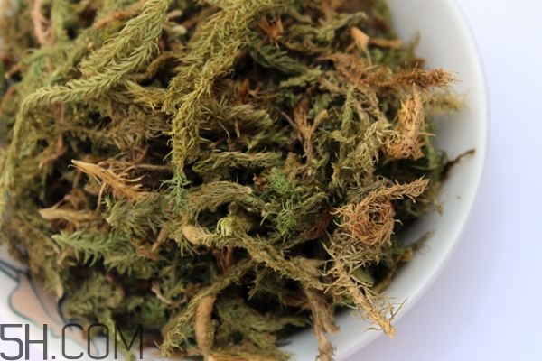 什么是伸筋草？伸筋草的功效與作用是什么？
