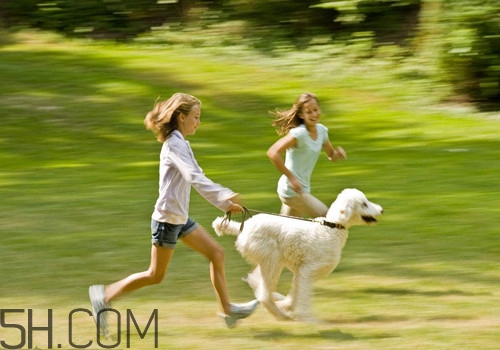 夜跑減肥的正確方法有哪些？冬天夜跑應(yīng)該怎么跑才能減肥？