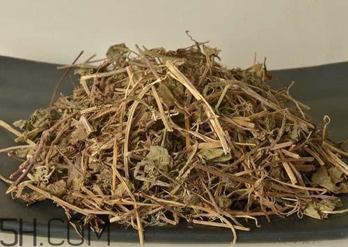 什么是透骨草？透骨草的功效與作用是什么？