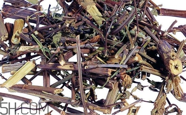 艾葉草洗澡有什么好處？怎么挑選艾葉草？
