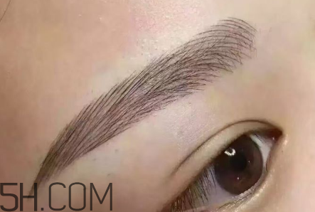 紋眉后還用畫眉嗎？紋眉后還會長眉毛嗎？