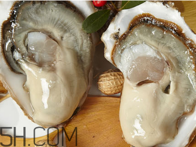 哪些人不適合吃鮑魚(yú)？生蠔和鮑魚(yú)的區(qū)別