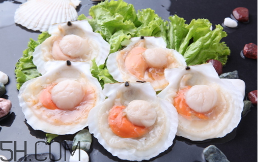 扇貝和生蠔有什么區(qū)別？扇貝和生蠔的營養(yǎng)價(jià)值