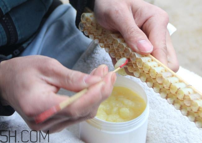 蜂王漿的營養(yǎng)成分有哪些？怎么辨別真假蜂王漿？