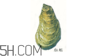吃生蠔應該注意哪些事項？生蠔與牡蠣的區(qū)別