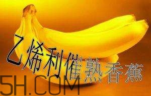 冬天可以吃葡萄嗎？冬天吃葡萄好不好？