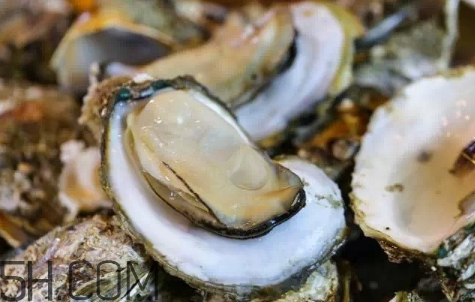 生蠔生吃好嗎？生蠔怎么吃最有營養(yǎng)？