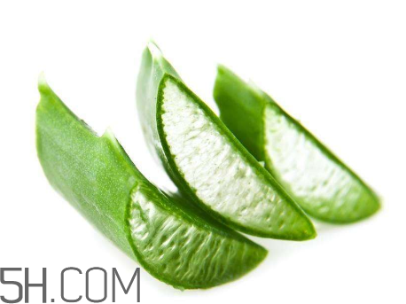 雅麗潔蘆薈膠有激素嗎？雅麗潔蘆薈膠測評(píng)