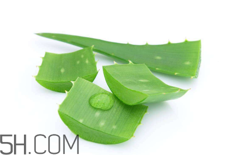 雅麗潔蘆薈膠怎么用？雅麗潔蘆薈膠使用方法