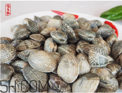 花甲可以冷凍嗎？養(yǎng)花甲鹽和水的比例是多少？