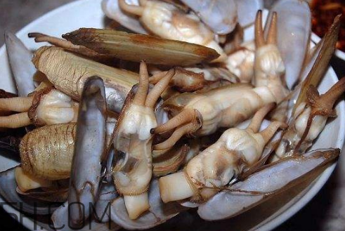 蟶子里面的黑色能吃嗎？蟶子為什么一撒鹽就出來？