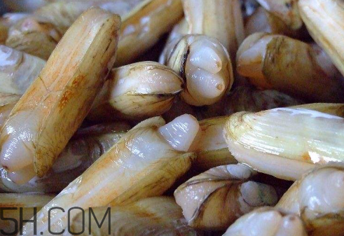 蟶子里面的黑色能吃嗎？蟶子為什么一撒鹽就出來？