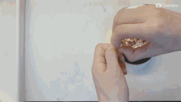 雅頓金膠怎么打開？雅頓金膠膠囊怎么扭開？