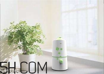 加濕器的使用誤區(qū)有哪些？加濕器的功能介紹