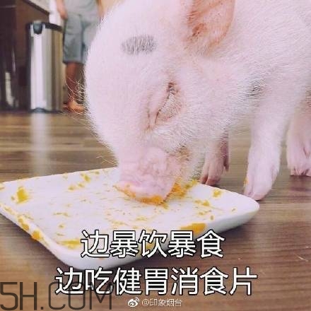 佛系青年表情包 佛系三連表情包 佛系青年表情包 佛系三連表情包