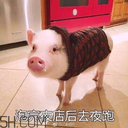 佛系青年表情包 佛系三連表情包 佛系青年表情包 佛系三連表情包