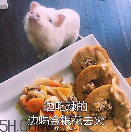 佛系青年表情包 佛系三連表情包 佛系青年表情包 佛系三連表情包