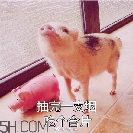 佛系青年表情包 佛系三連表情包 佛系青年表情包 佛系三連表情包