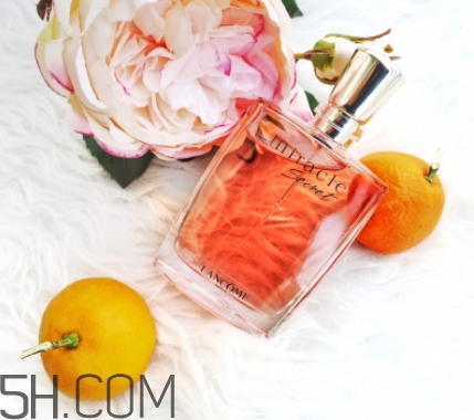 蘭蔻全新奇跡密語(yǔ)香水好聞嗎？蘭蔻全新奇跡密語(yǔ)香水香調(diào)